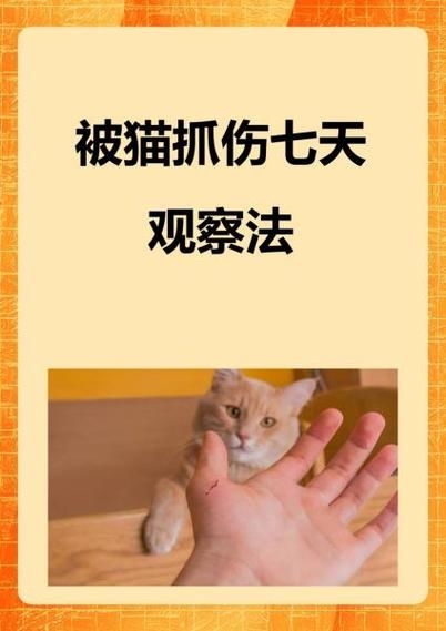 梦见被猫挠，情感受伤与挫折的警示插图