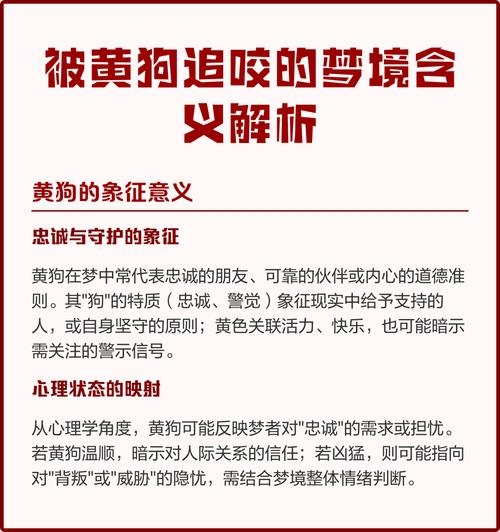 梦见被狗咬，梦境背后的深层含义与解析插图