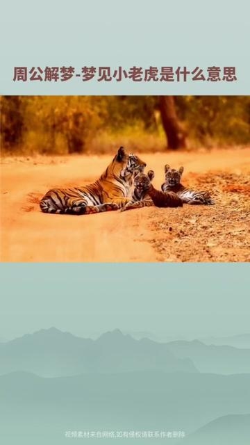 梦见穿新鞋，寻梦路上的奇幻梦境插图