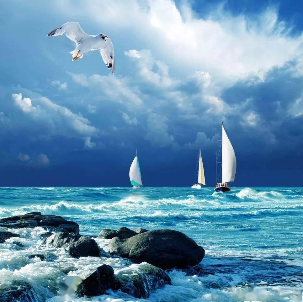 梦见大海涨潮，心灵的共鸣与梦的探索插图