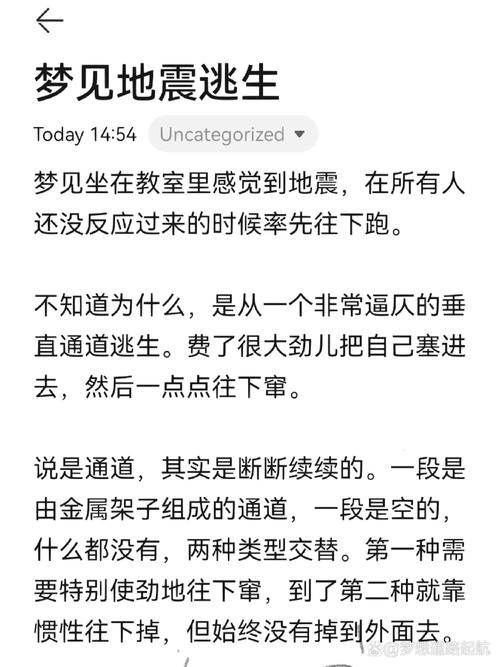 梦见地震的征兆解析插图