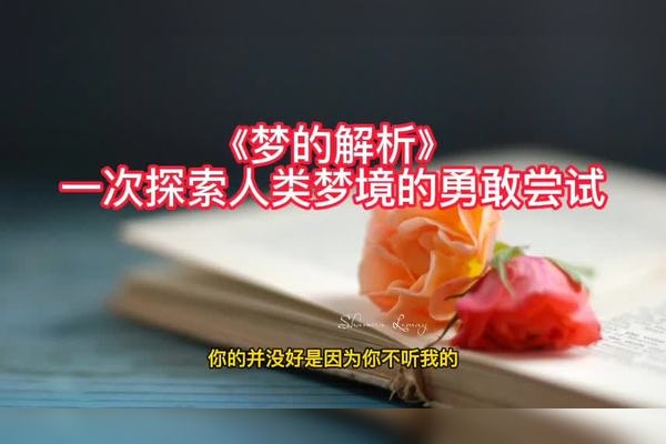 梦见大灾难，梦境与现实交织的深层探索插图