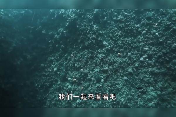 梦见广阔的大海，探索内心深处的无限可能插图