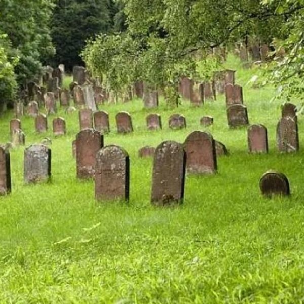 梦见很多坟墓，生命的沉淀与荒诞交织插图