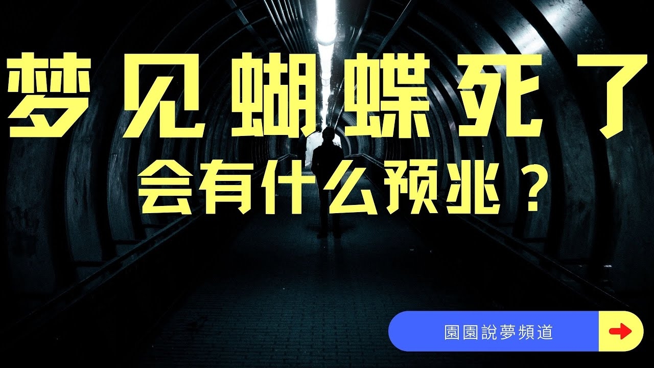 梦见黑蝴蝶，神秘与转变的预兆插图