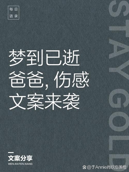 梦见死去的父亲，心灵的慰藉与未竟的对话插图