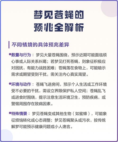 梦见死苍蝇,解析不同人群的梦境寓意与建议插图 梦见死苍蝇,解析不同人群的梦境寓意与建议插图