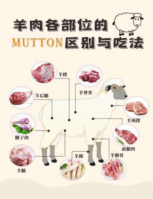 梦见羊肉解析插图 梦见羊肉解析插图