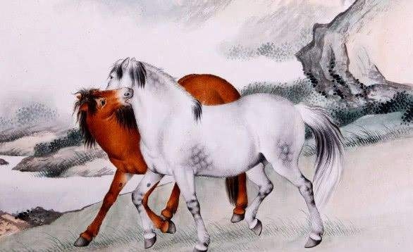 马角乌头揭秘生肖之谜插图