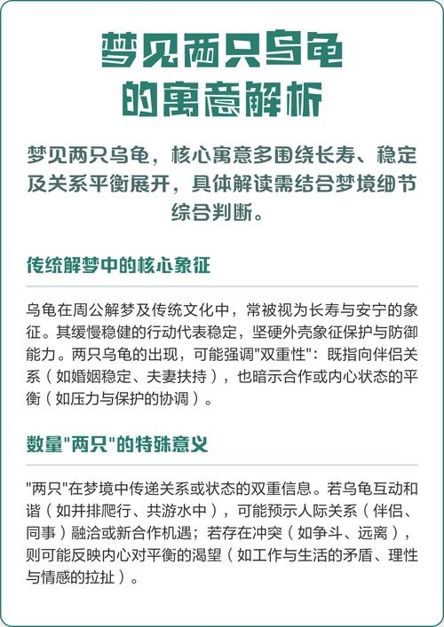 梦见乌龟的寓意与解读插图