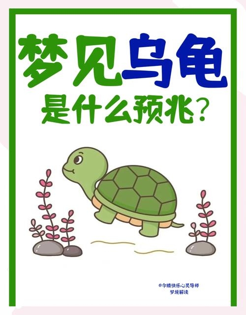 梦见乌龟咬人，寓意与解析的深度探索插图