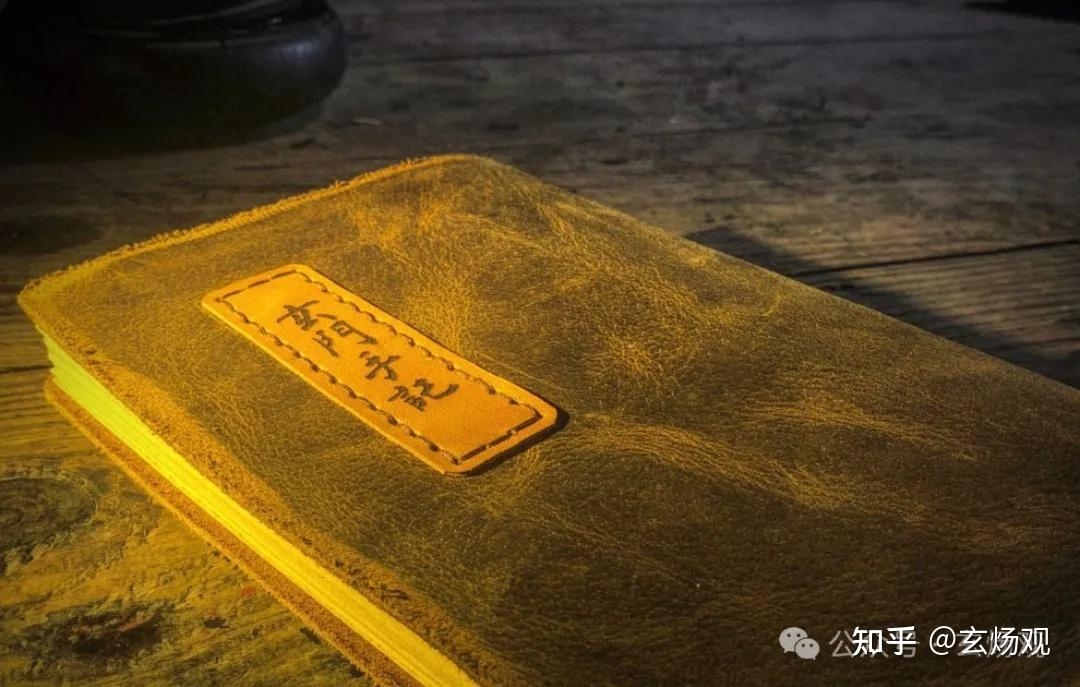 梦见狗咬手，梦境中的情感暗涌插图