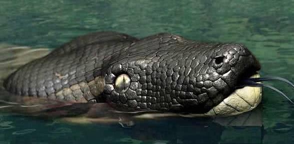 梦见蟒蛇追，预示好运与机遇将至插图