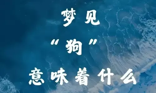 梦见一群狗有何解读？插图
