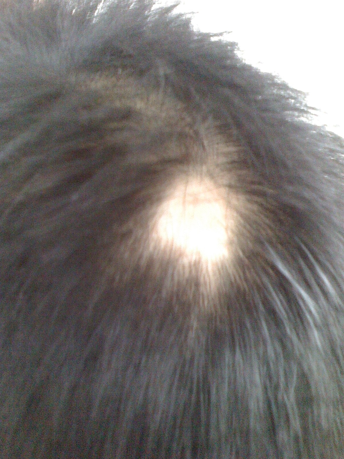 梦见一缕头发轻轻脱落插图