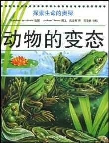 梦境中的动物伴侣，探索梦境与自然界的神秘联系插图
