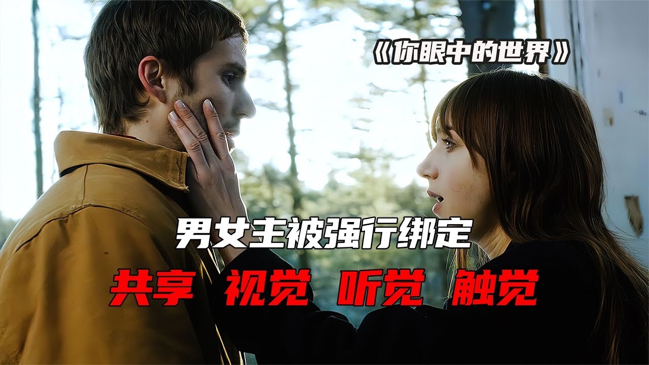 梦境中的擦皮鞋，打破常规的感官共鸣插图