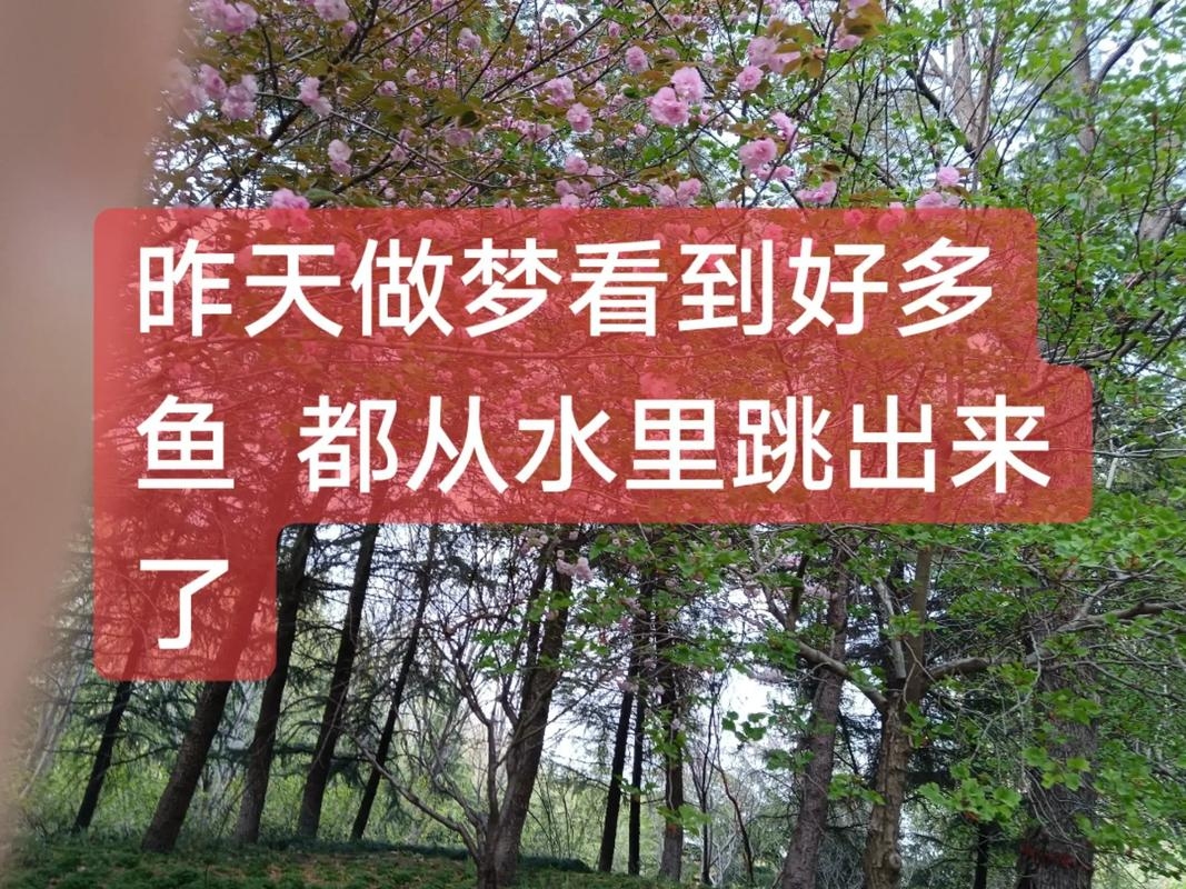 梦境之谜,梦见鱼从水里跳出来插图 梦境之谜,梦见鱼从水里跳出来插图