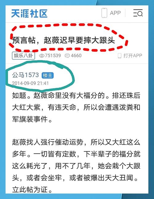 命理大师预言赵薇的未来运势插图 命理大师预言赵薇的未来运势插图