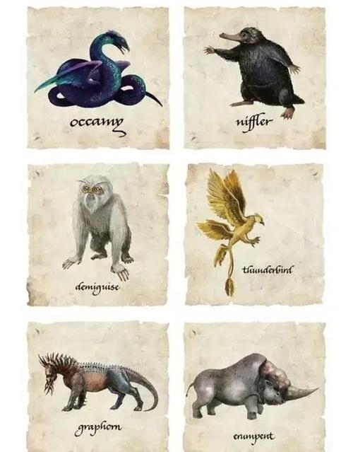 目迷五色,揭秘神秘动物插图 目迷五色,揭秘神秘动物插图