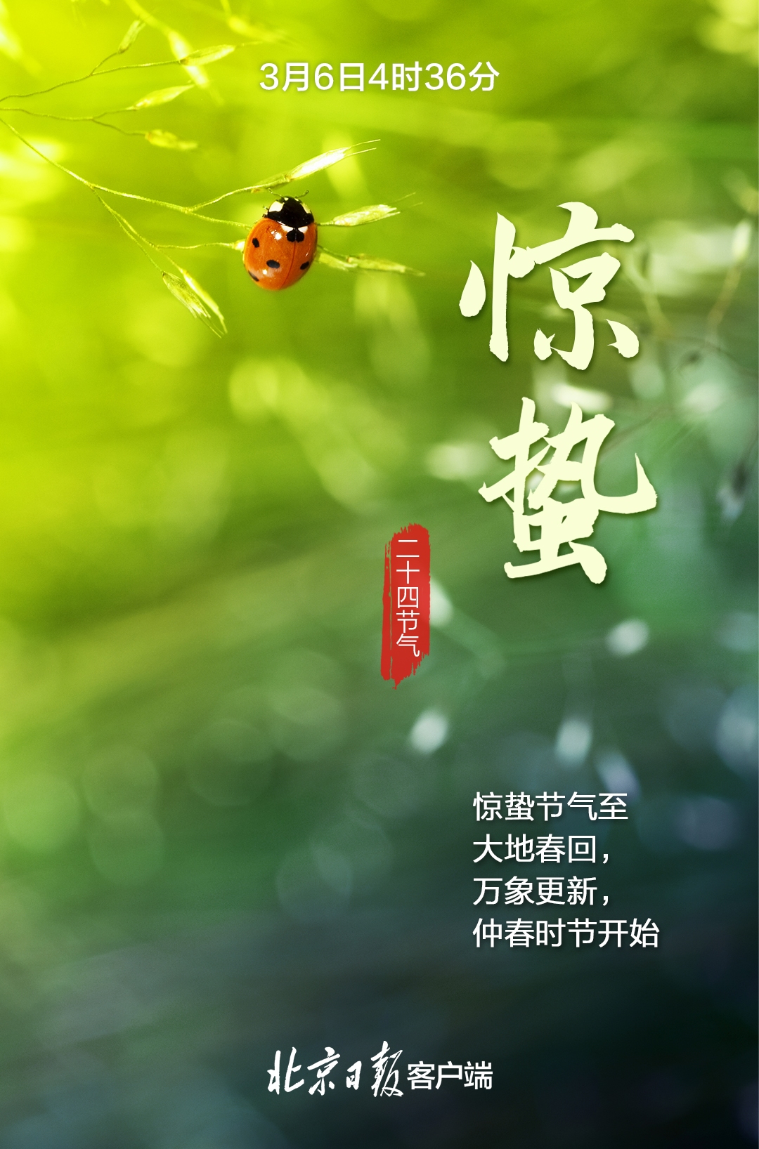 明年惊蛰，3月5日春回大地，农耕启程插图