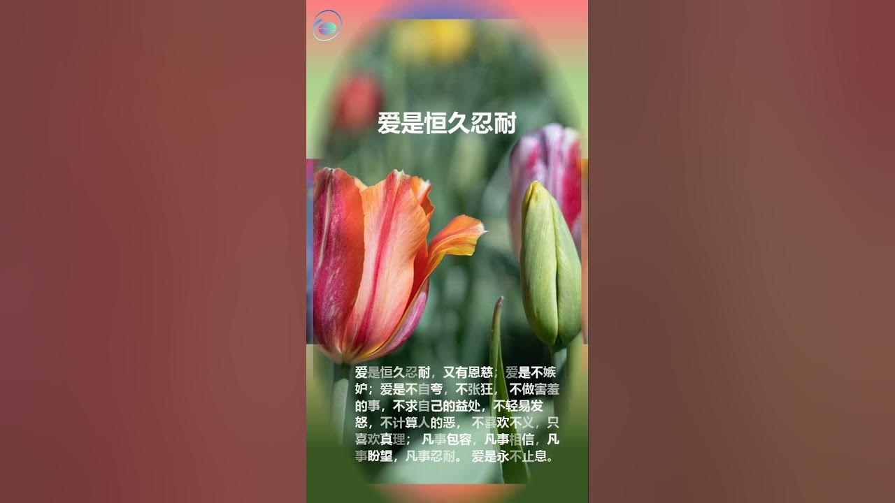 母亲节，温柔与关怀的永恒时刻插图