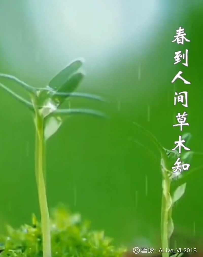 明天打春时间揭晓,春天的序曲即将拉开插图 明天打春时间揭晓,春天的序曲即将拉开插图