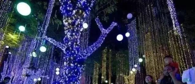 梦幻般的美好名字，点亮人生旅途插图