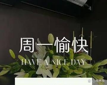 梦醒时分，与朋友共赴孕期新篇插图