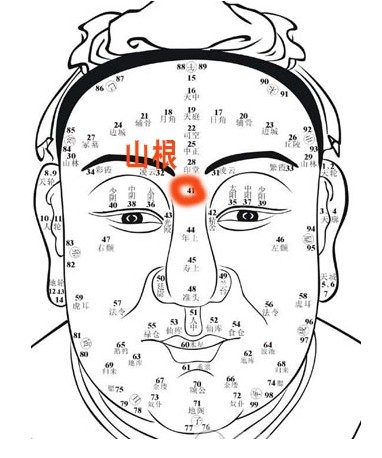 面相算命图解,探索古老智慧的现代解读插图 面相算命图解,探索古老智慧的现代解读插图