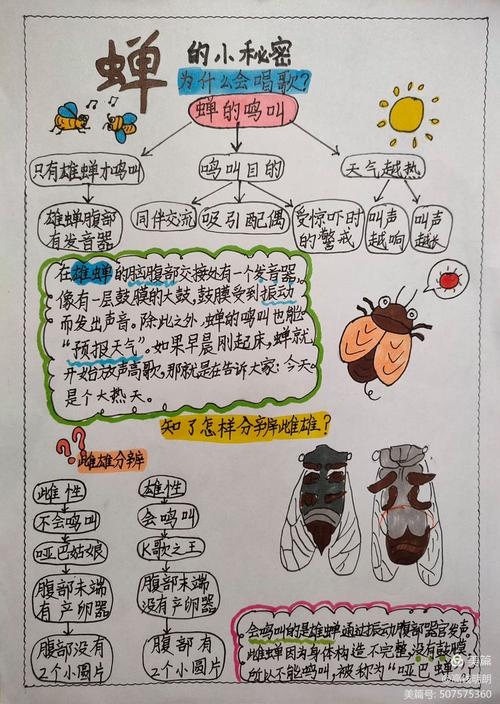 梦启新生的奥秘,梦见金蝉脱壳的深层解析插图 梦启新生的奥秘,梦见金蝉脱壳的深层解析插图