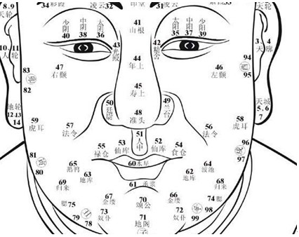 面相学中的鼻子图解，解读命运的微妙线索插图