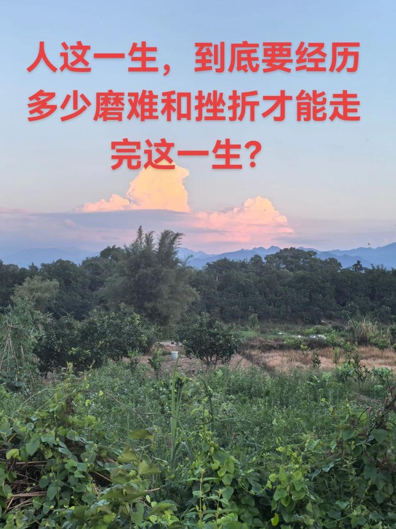 命运多舛,人生中的艰难时刻插图 命运多舛,人生中的艰难时刻插图