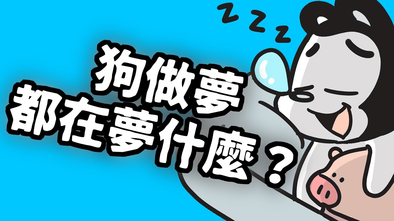 梦中的犬群，解密一群狗的梦境意象插图