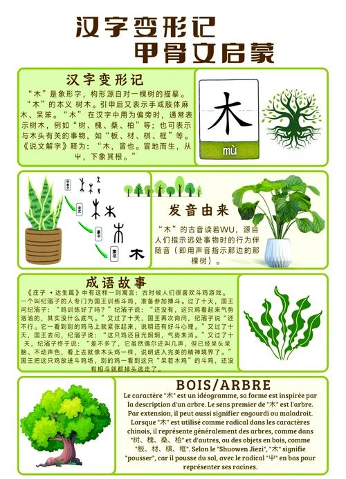木字旁的汉字世界，探寻汉字的森林奥秘插图