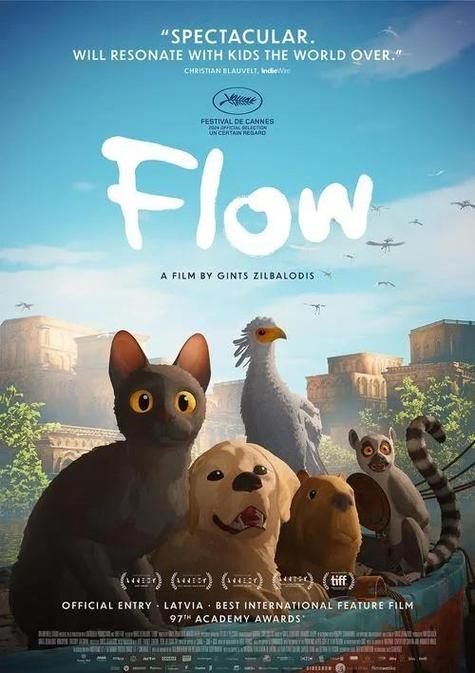 梦中惊魂，被猫追的奇幻之旅插图