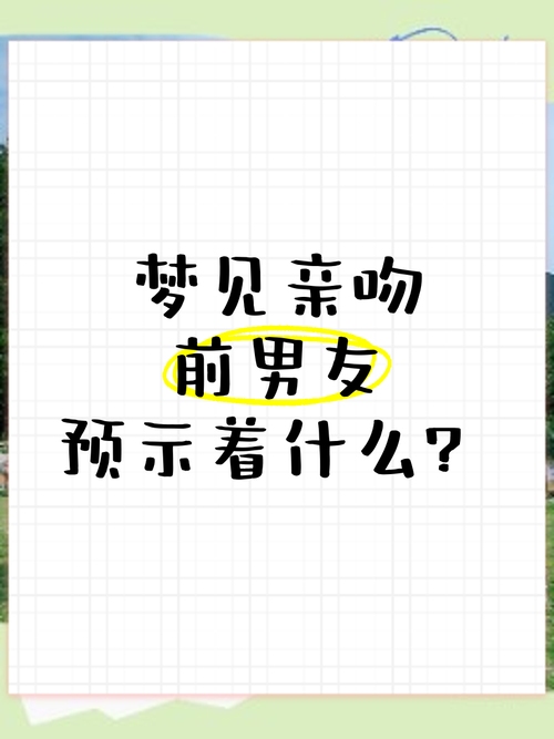 梦中与前男友的吻插图