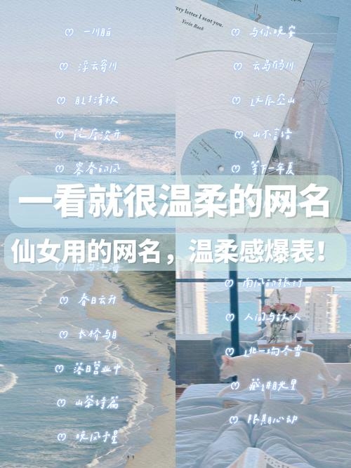 哪个网名好听，打造独特而富有韵味的网络昵称插图