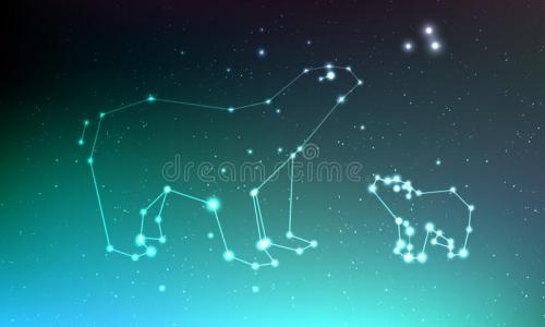 哪个星座更容易出现海王？插图