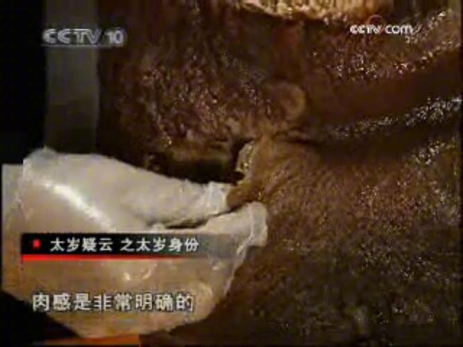 女记者揭秘太岁之谜,科学还是迷信?插图 女记者揭秘太岁之谜,科学还是迷信?插图