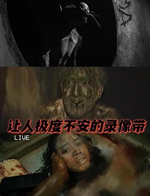 能看见鬼的十种人插图