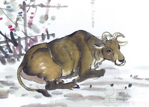 牛年出生的人命运探究插图