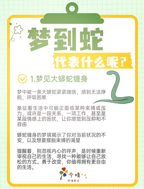 女人梦见蛇,预示着什么?插图 女人梦见蛇,预示着什么?插图