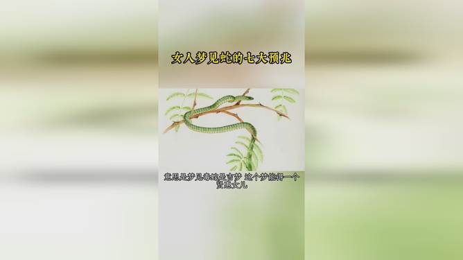 女人梦见蛇的七大预兆解析插图