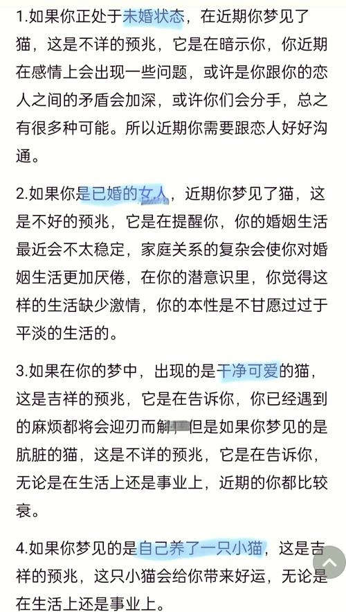 女人梦见猫的神秘预兆插图