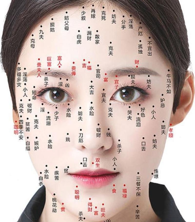 女人面相算命图解,解读女性面部特征与命运关系插图 女人面相算命图解,解读女性面部特征与命运关系插图