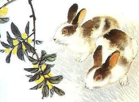 女人命中3个属相旺运，兔、牛、羊各有优势插图