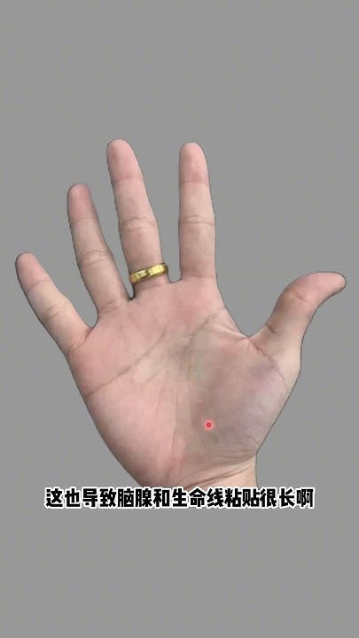 女人手相算命，从神秘命局到智慧指引插图