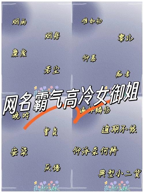 女生网名，高冷之魅插图