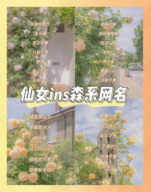 女生唯美网名，打造你的专属浪漫插图